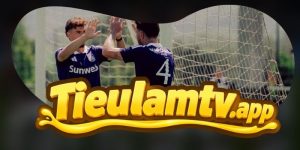 Nhận Định Anderlecht Vs Hammarby 01h30 31/07