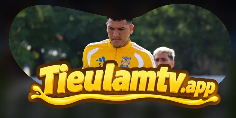 Gợi ý chốt kèo tổng hợp trận Queretaro FC vs Tigres UANL ngày 02/08