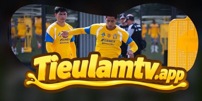 Nhận Định Queretaro FC Vs Tigres UANL 06h00 02/08