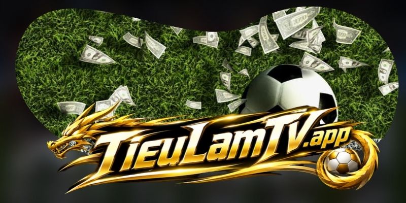 Lý do người hâm mộ yêu thích Tieulamtv